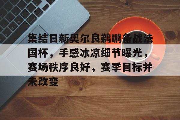 九游网页客户端-集结日新奥尔良鹈鹕备战法国杯，手感冰凉细节曝光，赛场秩序良好，赛季目标并未改变的简单介绍